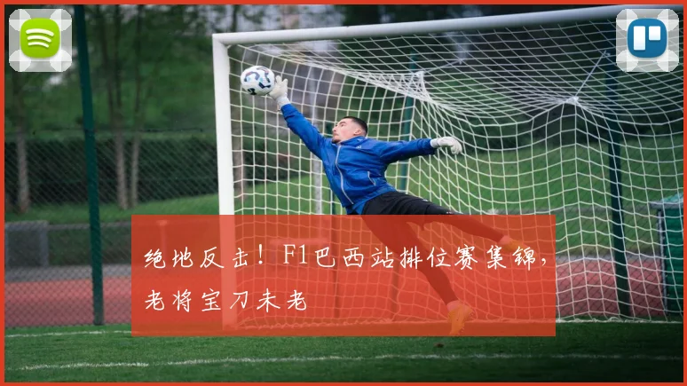 绝地反击！F1巴西站排位赛集锦，老将宝刀未老