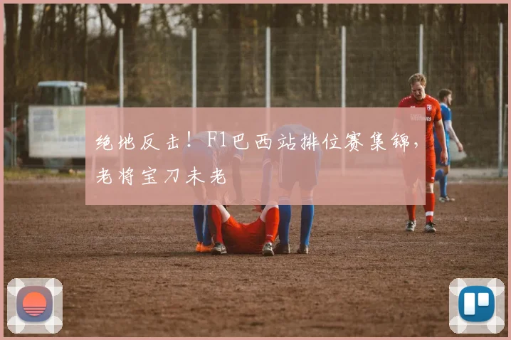 绝地反击！F1巴西站排位赛集锦，老将宝刀未老